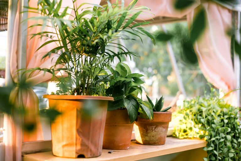 Tips for Creating a Sustainable Home Garden Year-Round